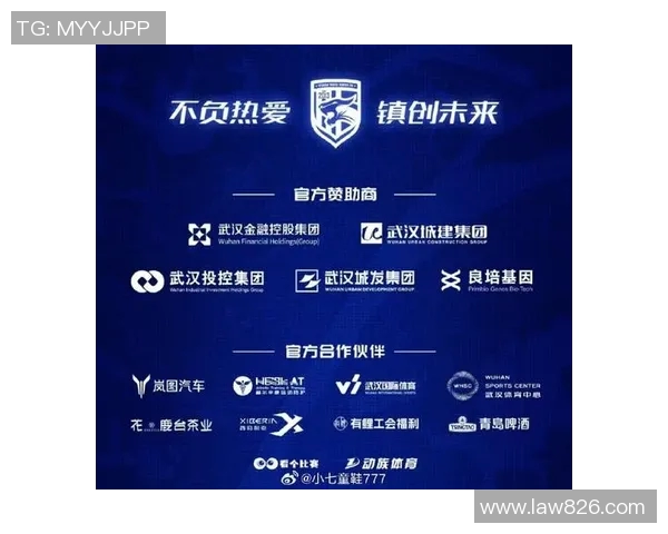 武汉三镇股改进展顺利足管中心主任透露净资调查已完成 武汉三镇股改进展顺利足管中心主任透露净资调查已完成