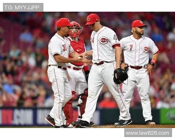 红人队挑战职业队的精彩对决谁将成为最终的胜者